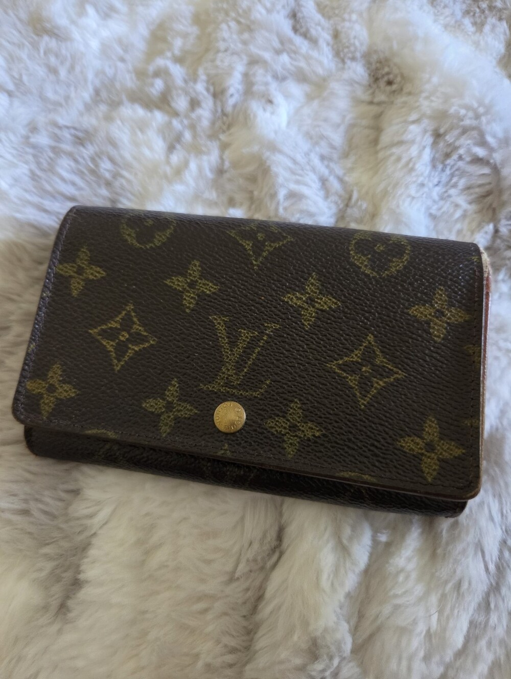Vintage Louis Vuitton Project Wallet